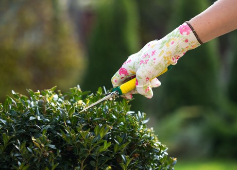 Outdoor gardener using protective equipment while handling maintenance tasks