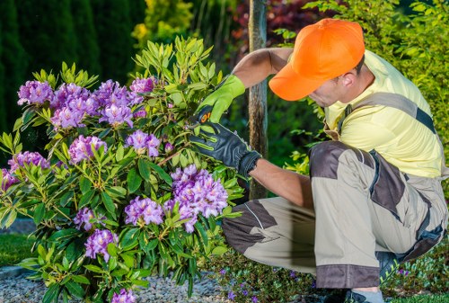 Gardeners Woodford team handling recyclable green waste in Woodford
