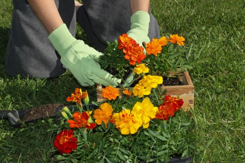 Explanation of the Woodford gardening complaints process