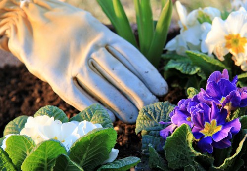 Final summary of Gardeners Woodford cookie use
