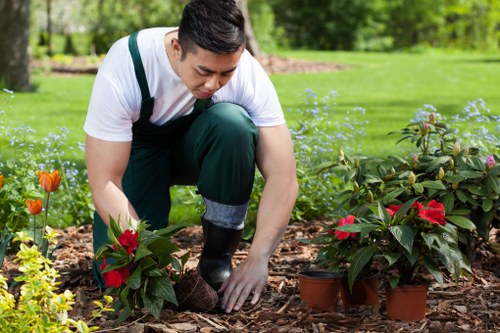 Seasonal garden maintenance in Woodford with healthy planting