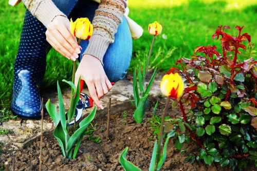 Local landscaping in Woodford featuring plants and hardscaping