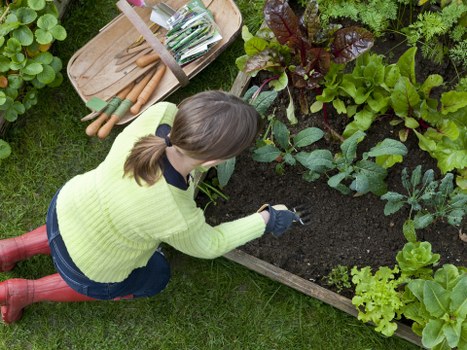 Insured and well-prepared Woodford gardening service