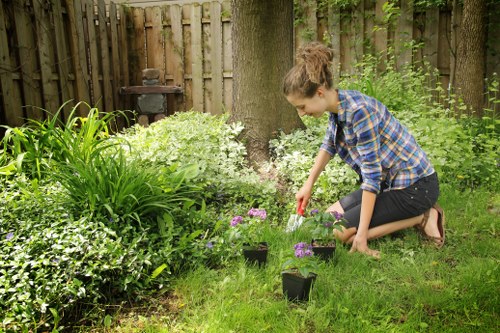 Professional garden maintenance in Woodford with healthy lawns