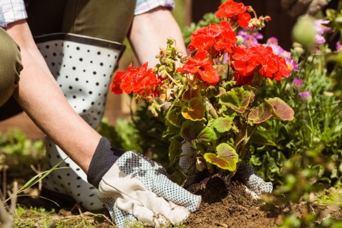 Low-maintenance landscape gardening in Woodford with clean edging and greenery