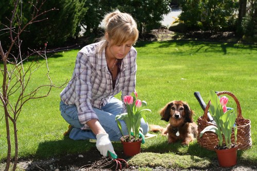 Transparent pricing for gardeners in Woodford across different property styles