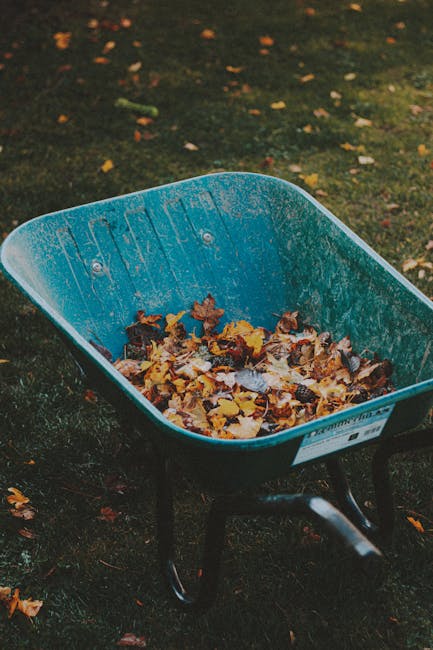 A blue wheelbarrow filled with a mix of fallen autumn leaves, including brown, yellow, and orange tones, sits on a patch of dark, moist soil in a garden. In the background, there is a grassy lawn with